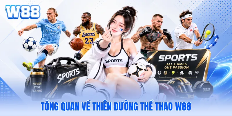 Tổng quan về thiên đường thể thao W88