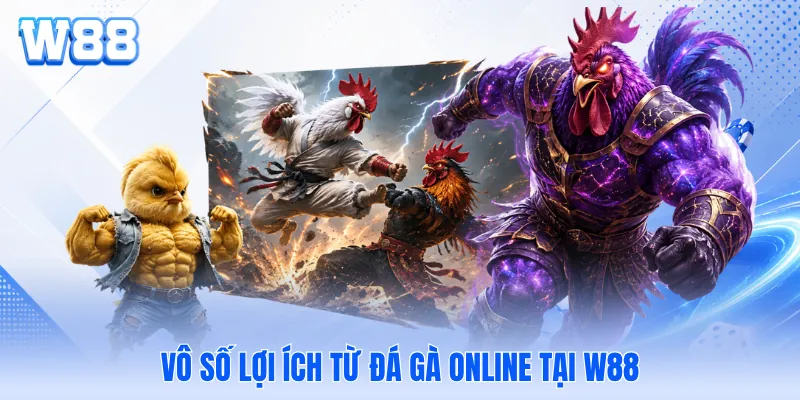 Vô số lợi ích từ đá gà online tại W88 Vô số lợi ích từ đá gà online tại W88